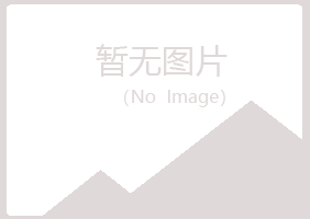 鄂尔多斯夏岚化学有限公司